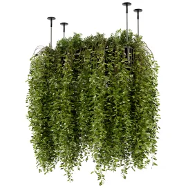 Indoor hanging plants in metal box